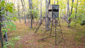 Hunt Anywhere. Hunt Orion.